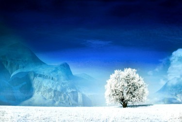 绍兴上虞3银行个人借款利率揭秘：揭秘低息秘密，轻松贷款无忧