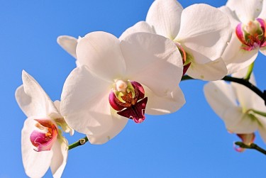 绍兴上虞3空放急用钱贷款|生意借钱周转|绍兴上虞3急用钱个人贷款
